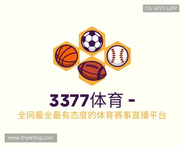 解读3377体育